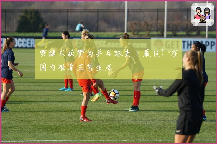 樊振东获赞为乒乓球史上最佳！在国内难享正常生活