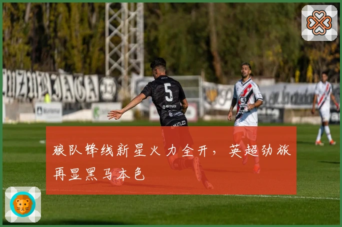 狼队锋线新星火力全开，英超劲旅再显黑马本色